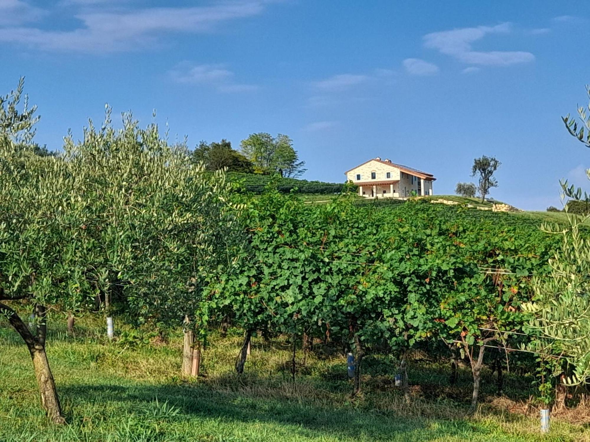 Agriturismo Riva Beata Cavaso Del Tomba Bagian luar foto