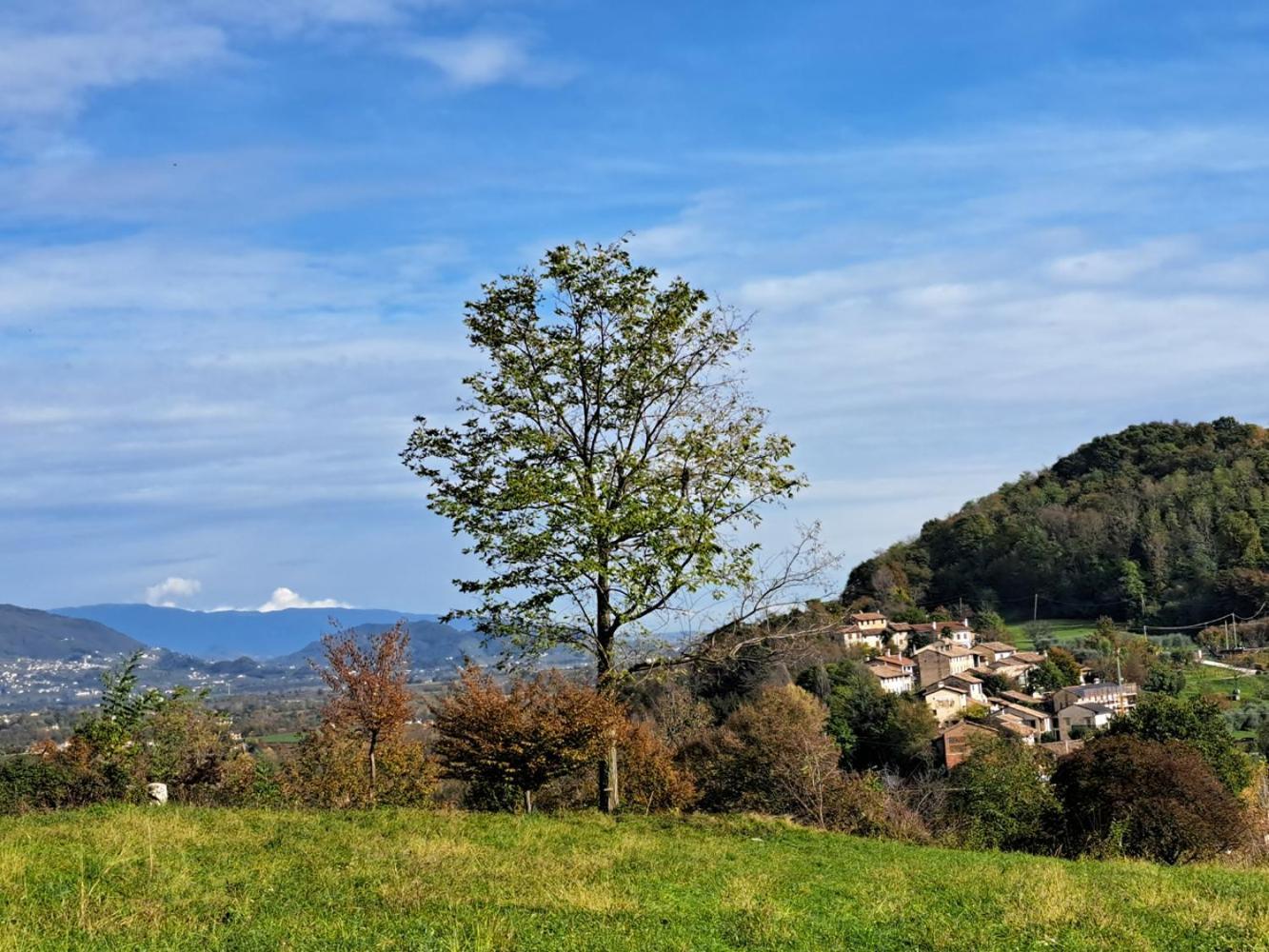 Agriturismo Riva Beata Cavaso Del Tomba Bagian luar foto