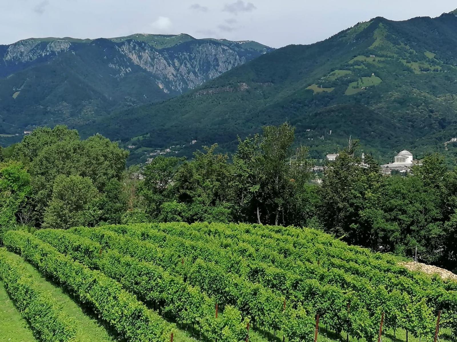 Agriturismo Riva Beata Cavaso Del Tomba Bagian luar foto